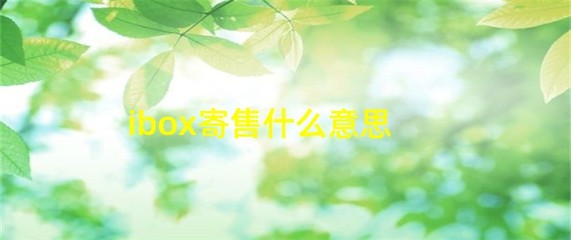 iBox 寄售服務解析 什么是受托寄賣？